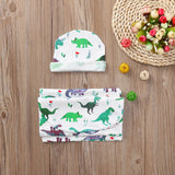 Dinosaur Swaddle with Super Cute Hat!